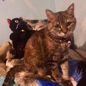 Meet your Posher, Samantha